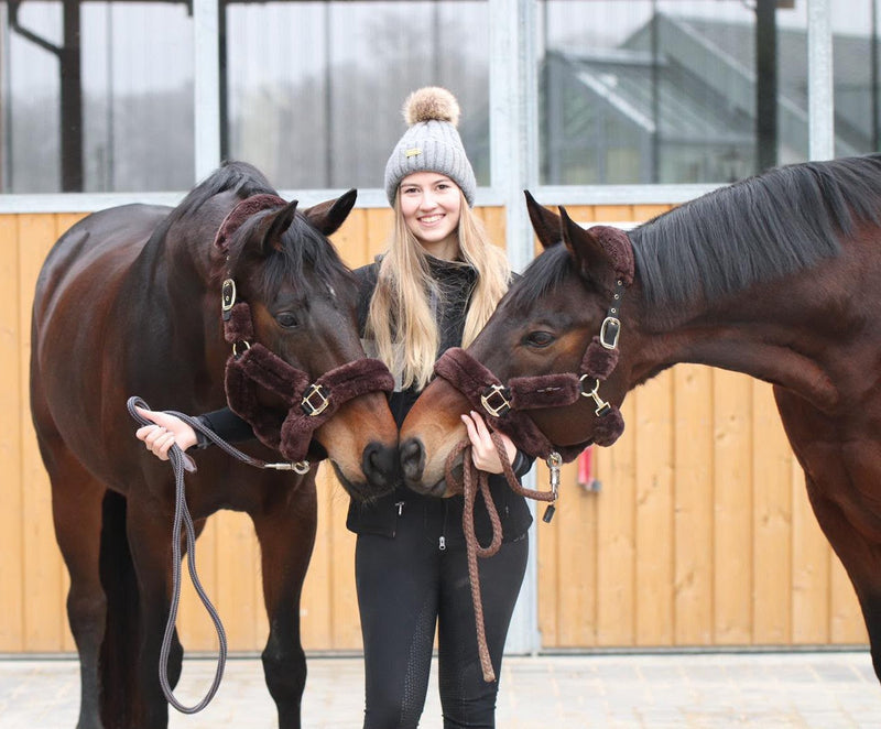 Comment mon amour des chevaux est devenu Equimour