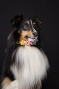 Bild in Galerie-Betrachter laden, Konfigurierbares Hundehalsband Flower