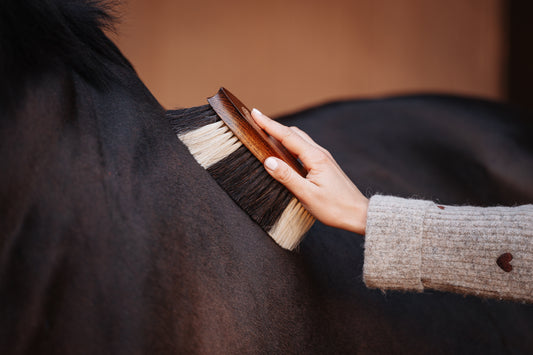 Fur shine brush "FAVO"