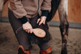 Load image into Gallery viewer, Edle Mähnen- und Schweifbürste von Equimour aus hochwertigem Holz mit stabilen Metallborsten. Ergonomisches Design für eine sanfte und effektive Entwirrung von Pferdehaar. Inklusive Lederband zur praktischen Aufbewahrung. Individuelle Personalisierung möglich.