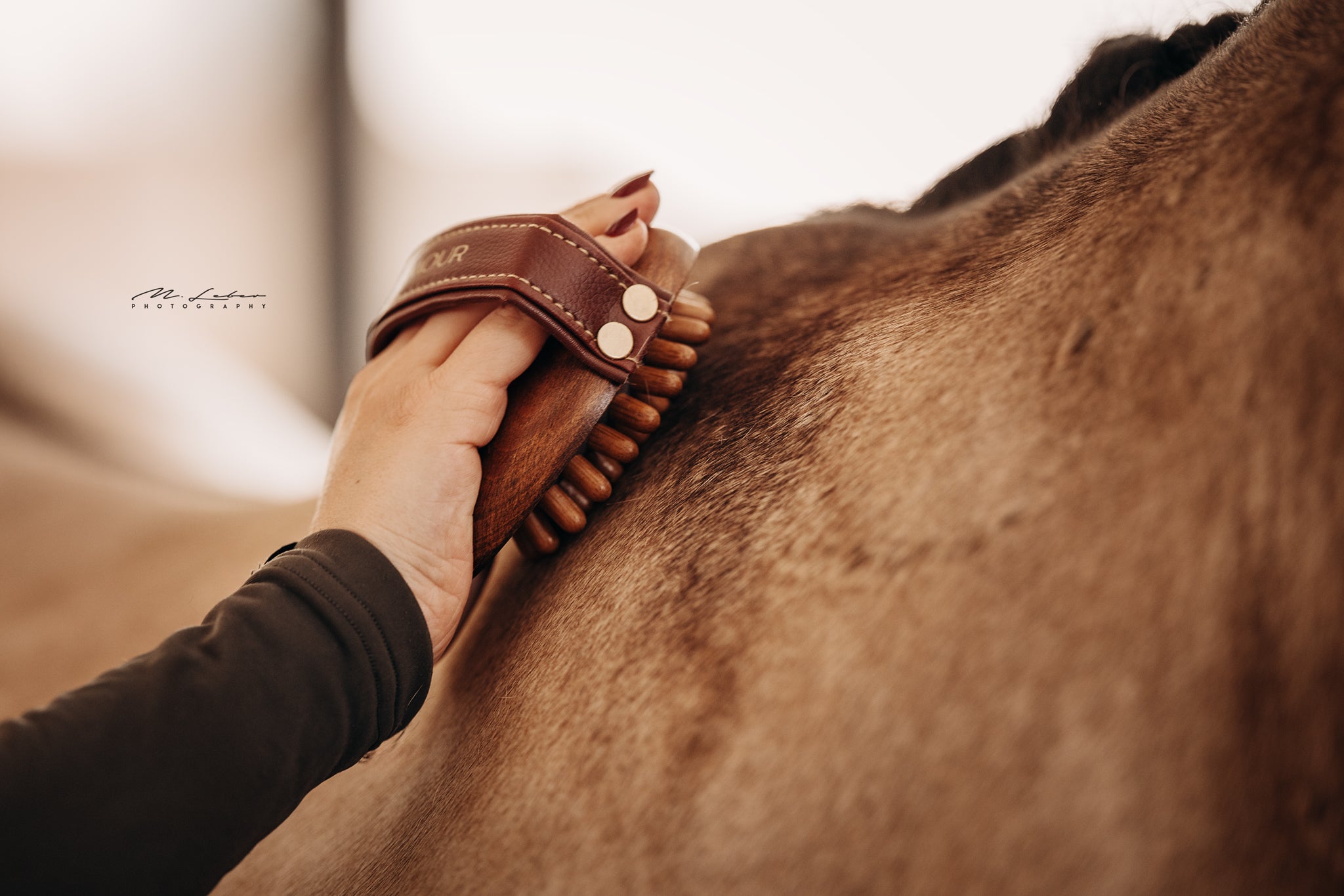 Massage-Striegel "CORNET"