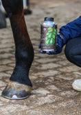 Load image into Gallery viewer, Hoof oil with brush Avocado & Macadamia