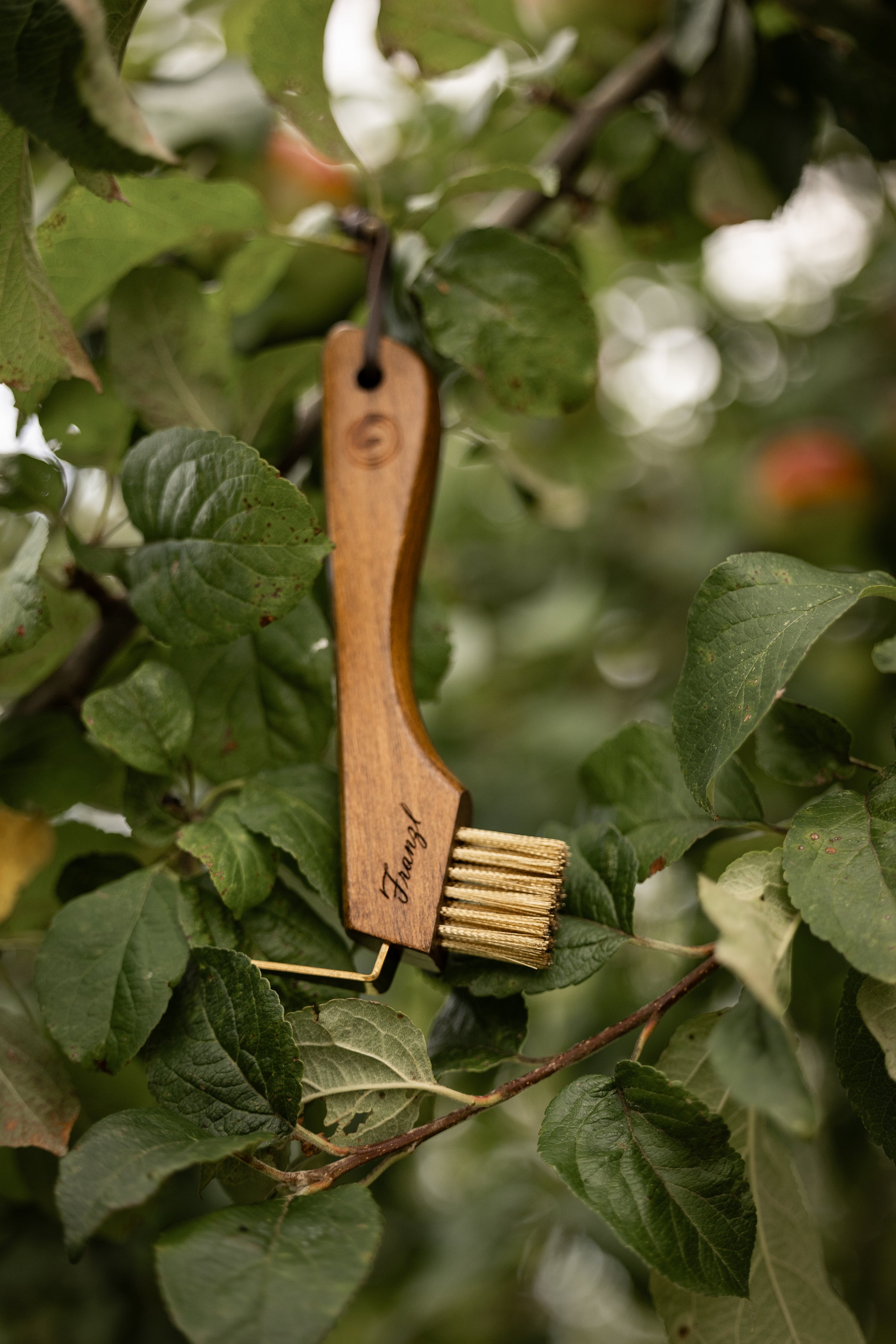 Hoof Pick "LILO"
