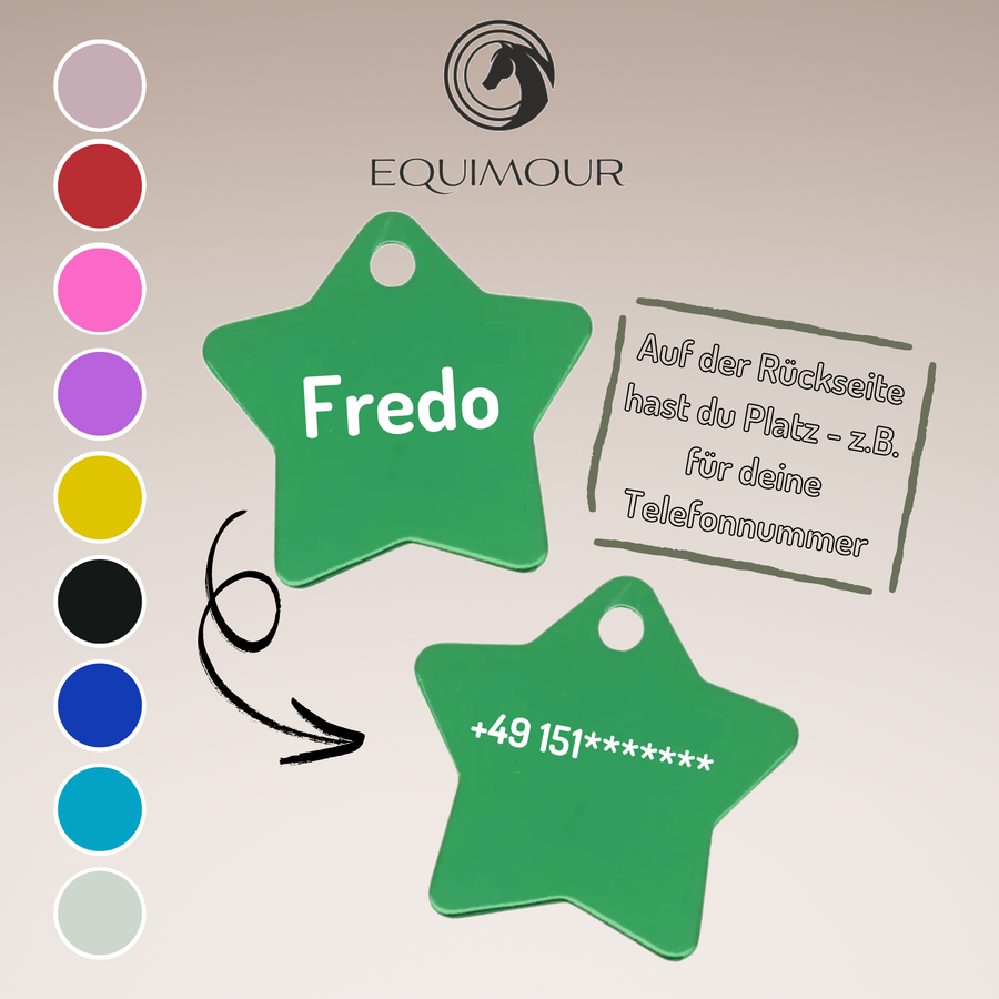 Plaque de licol personnalisable étoile – Equimour