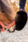 Load image into Gallery viewer, Lambskin cleaning glove "BONNY"