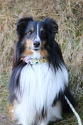Bild in Galerie-Betrachter laden, Konfigurierbares Hundehalsband Flower