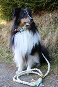 Bild in Galerie-Betrachter laden, Konfigurierbares Hundehalsband Flower