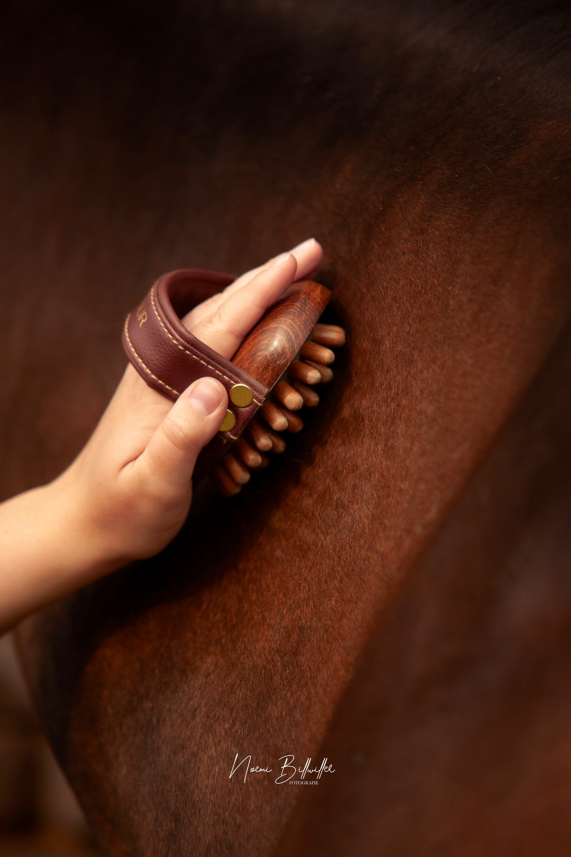Massage-Striegel "CORNET"