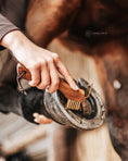 Load image into Gallery viewer, Hoof Pick "LILO"