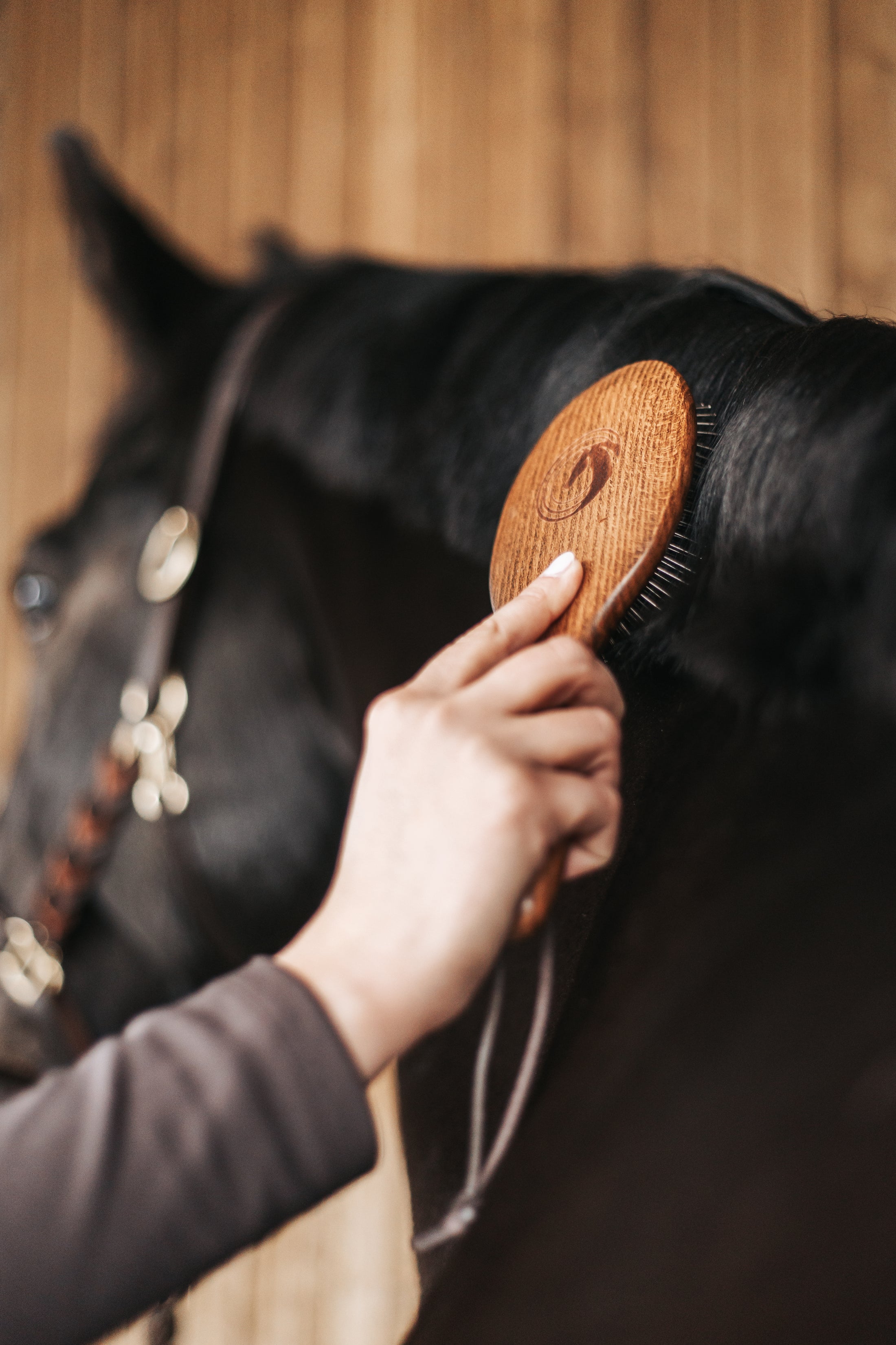 Edle Mähnen- und Schweifbürste von Equimour aus hochwertigem Holz mit stabilen Metallborsten. Ergonomisches Design für eine sanfte und effektive Entwirrung von Pferdehaar. Inklusive Lederband zur praktischen Aufbewahrung. Individuelle Personalisierung möglich.