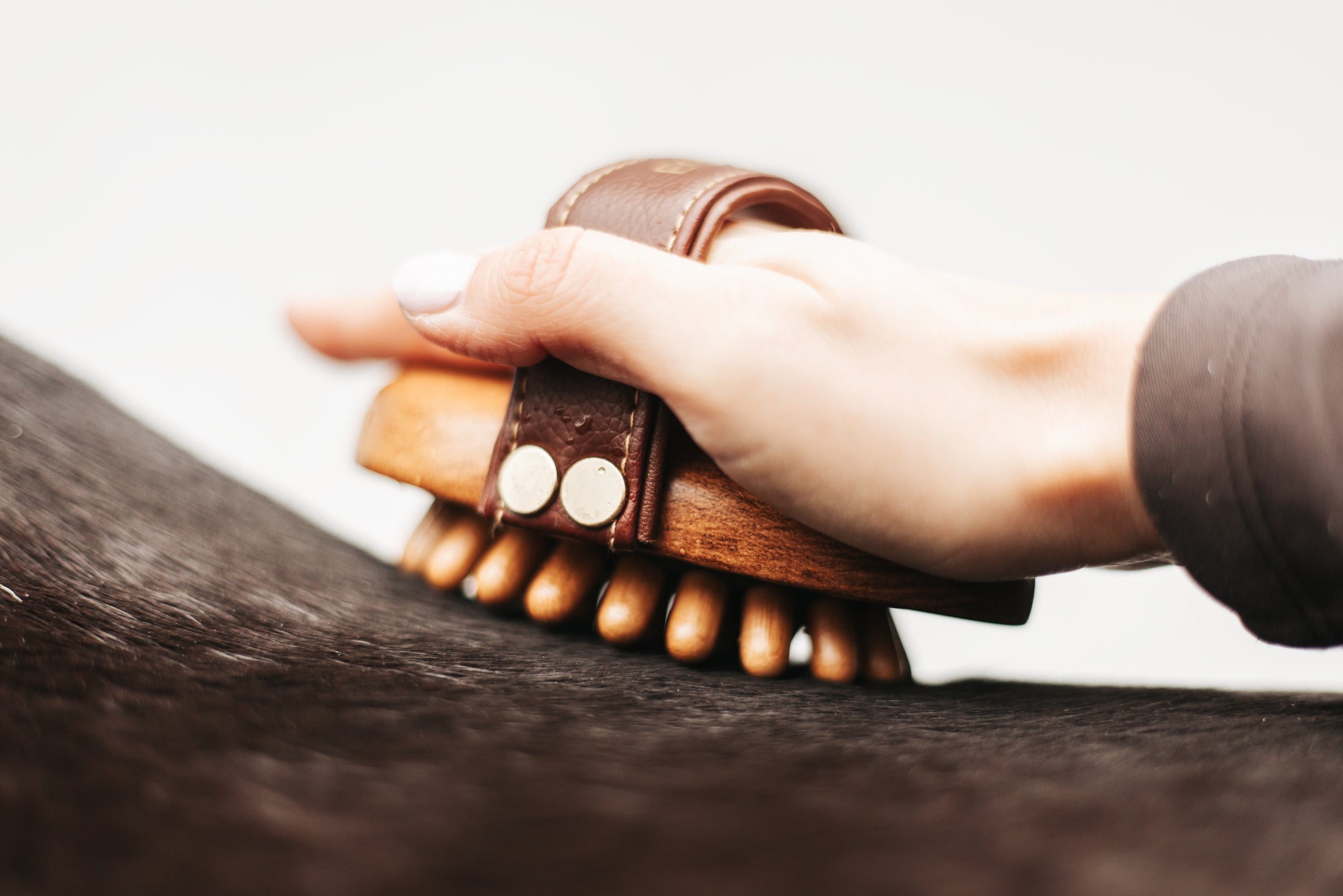 Massage-Striegel "CORNET"