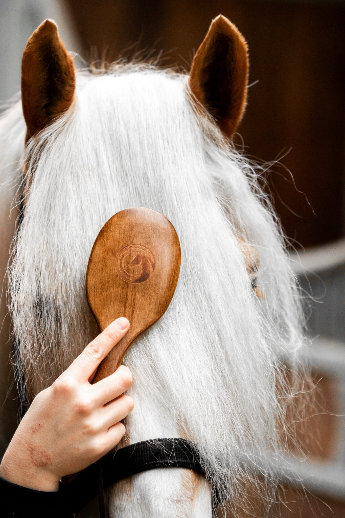 Edle Mähnen- und Schweifbürste von Equimour aus hochwertigem Holz mit stabilen Metallborsten. Ergonomisches Design für eine sanfte und effektive Entwirrung von Pferdehaar. Inklusive Lederband zur praktischen Aufbewahrung. Individuelle Personalisierung möglich.