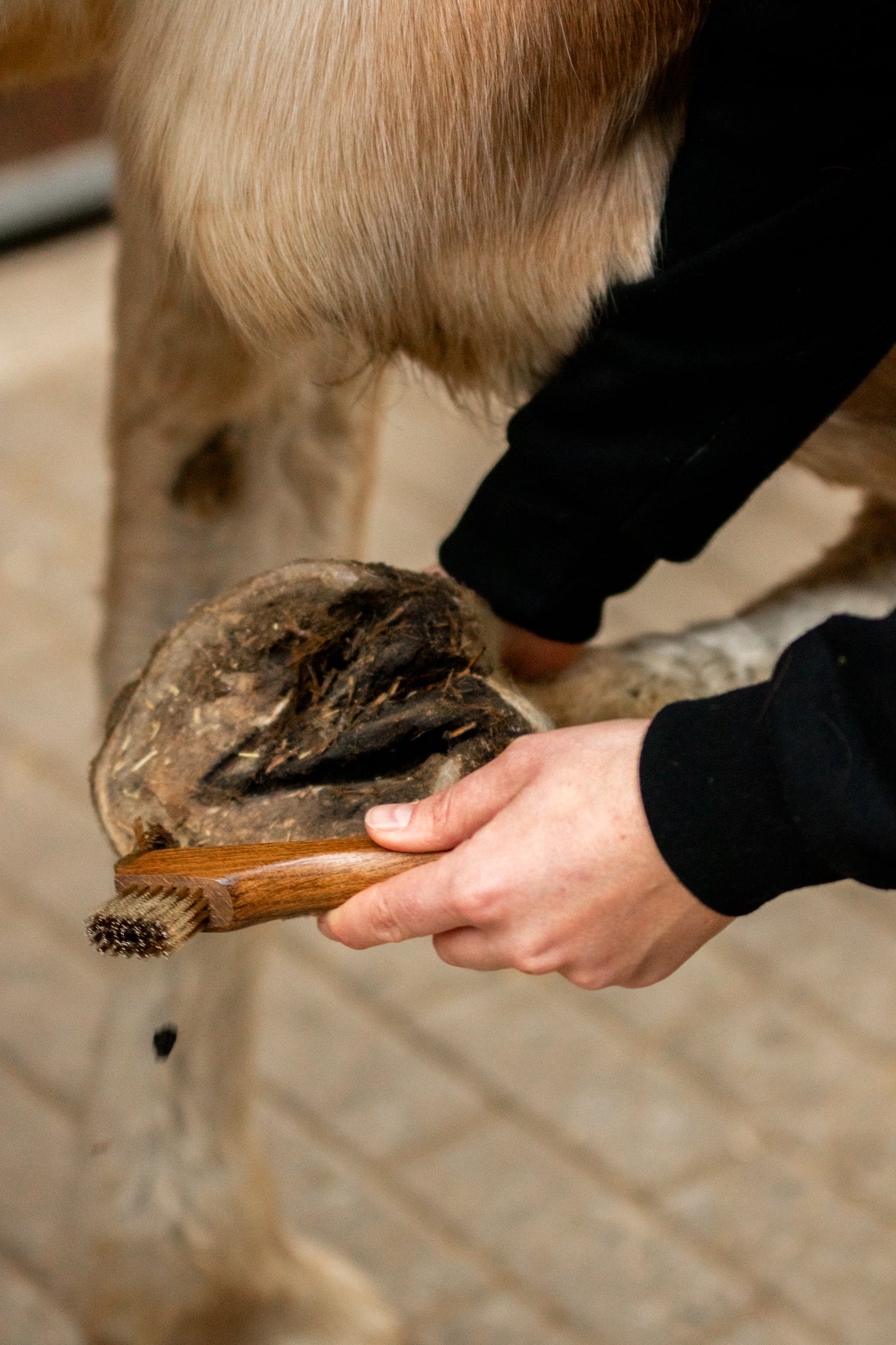 Hoof Pick "LILO"