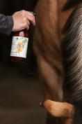 Load image into Gallery viewer, Mane, Tail & Coat Spray Mango Dream