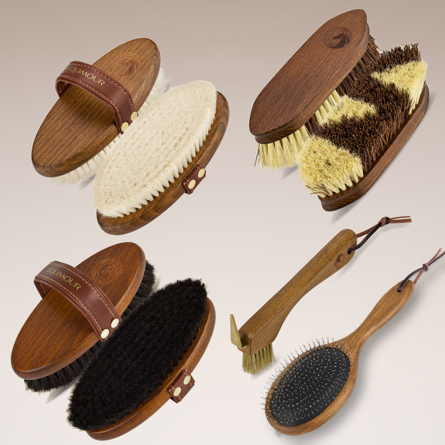 Starter Set Putzset für Pferde mit fünf Holzbürsten – Equimour