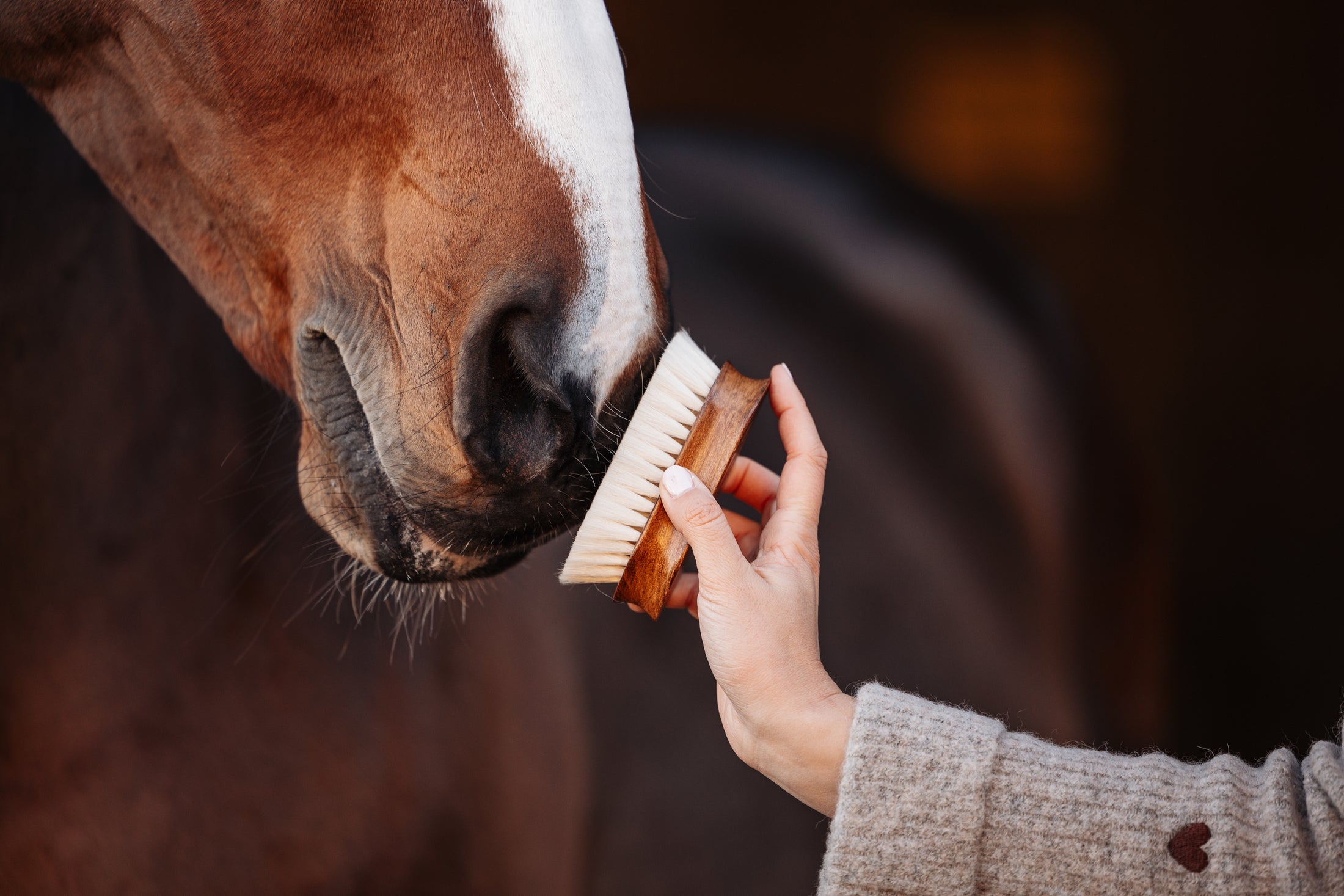 Goat hair head brush "MÄXCHEN"