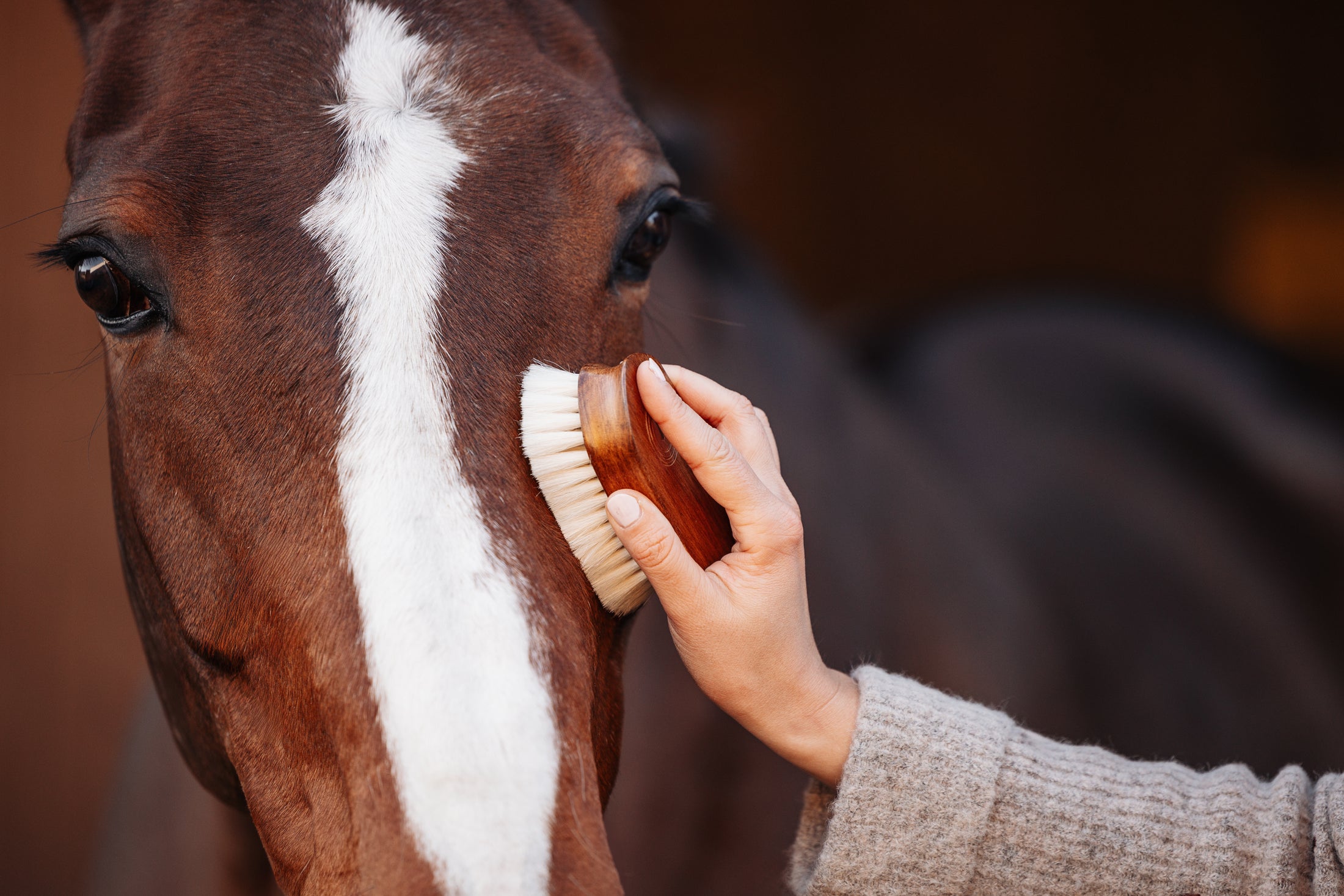 Goat hair head brush "MÄXCHEN"