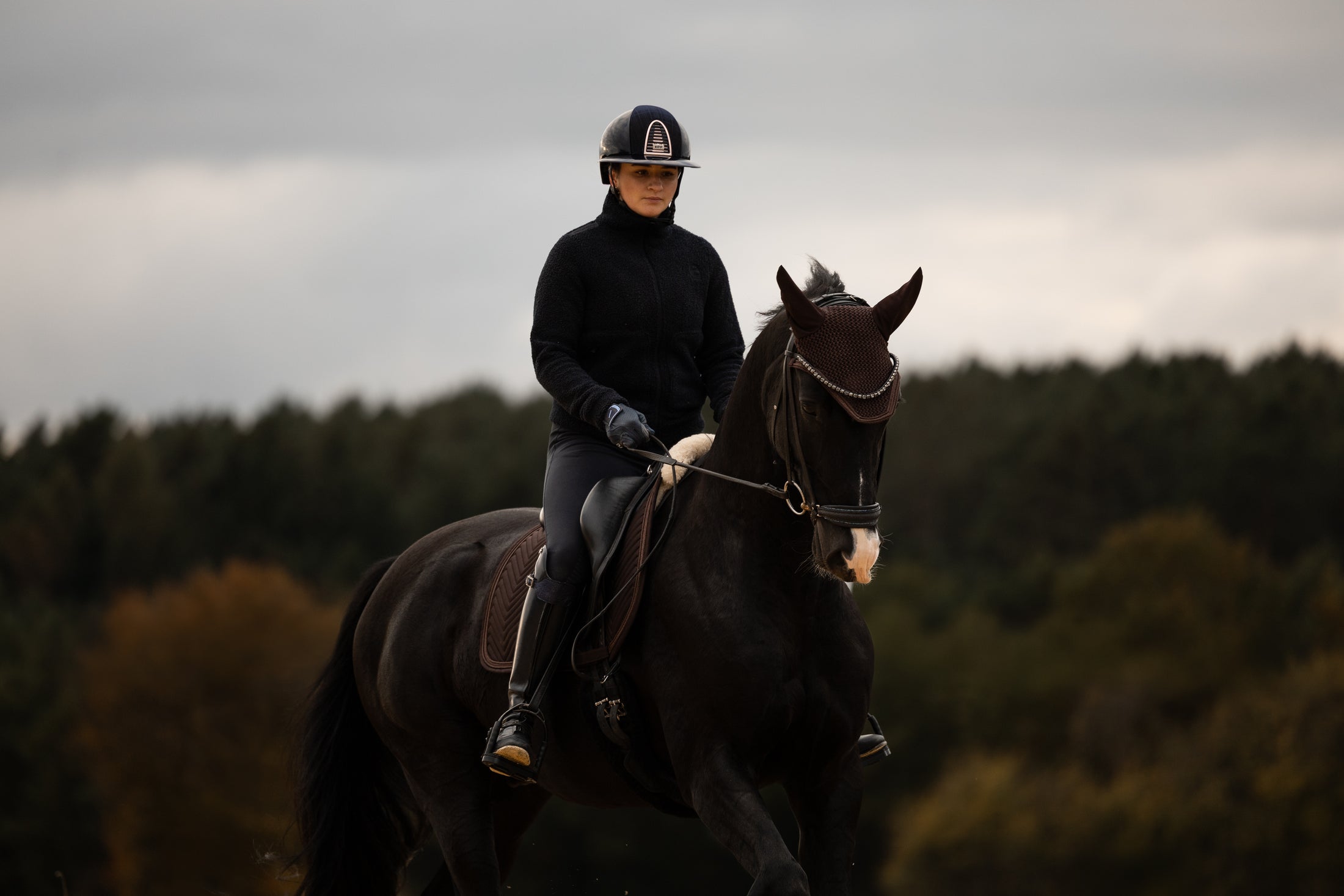 Fliegenhaube Pure Chocolate