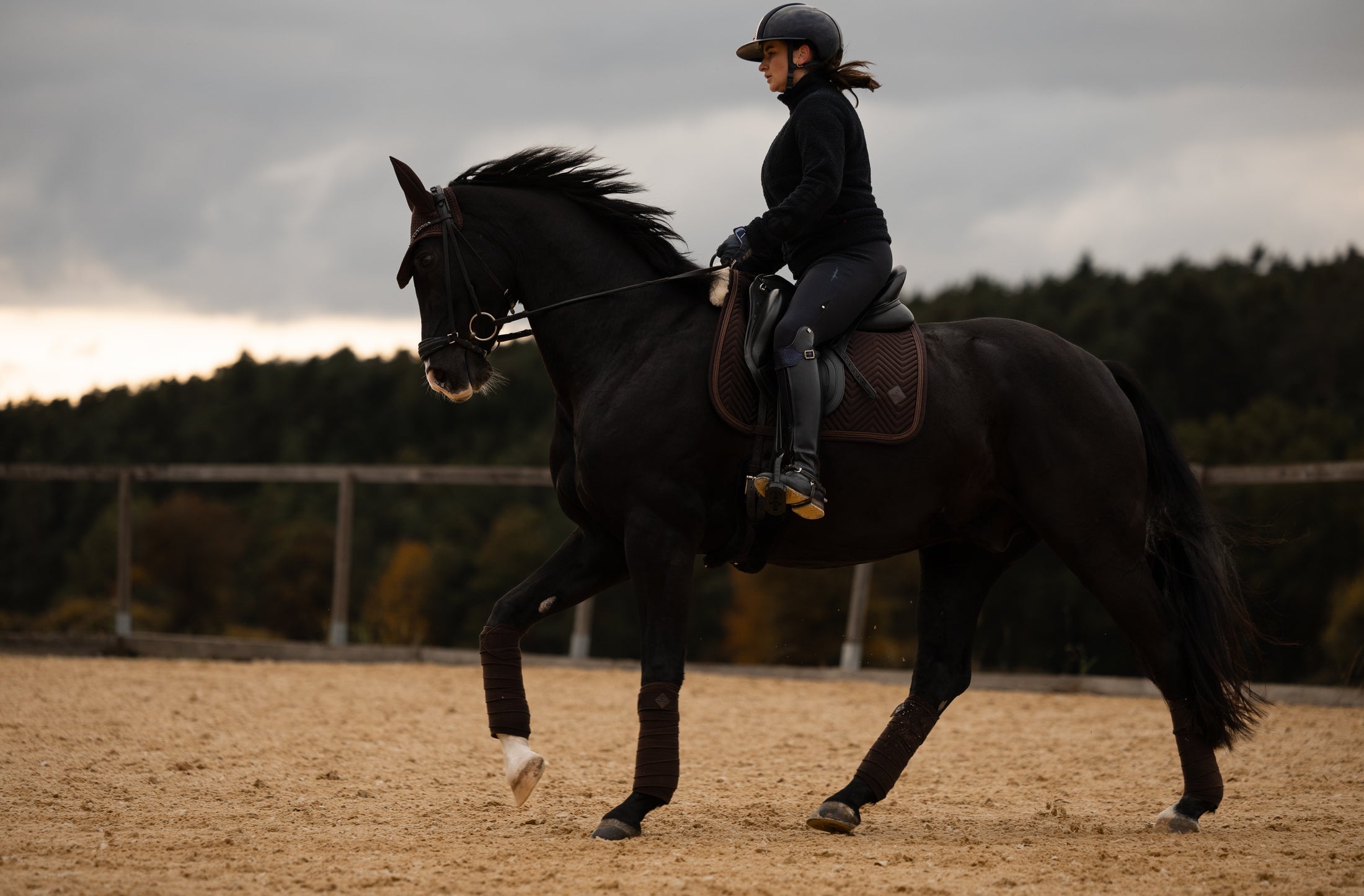 Dressur Set mit Schabracke, Fliegenhaube & Bandagen Pure Chocolate