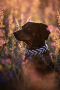 Load image into Gallery viewer, Konfigurierbares Hundehalsband Wild West
