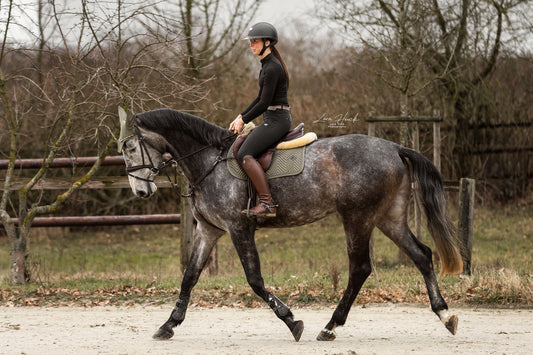 Spring Set with Saddle Pad &amp; Fly Bonnet Classic Sage