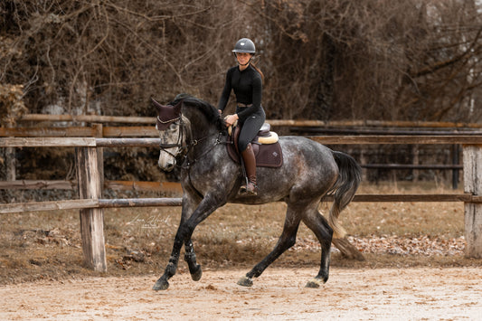 Spring Set with Saddle Pad &amp; Fly Bonnet Pure Chocolate