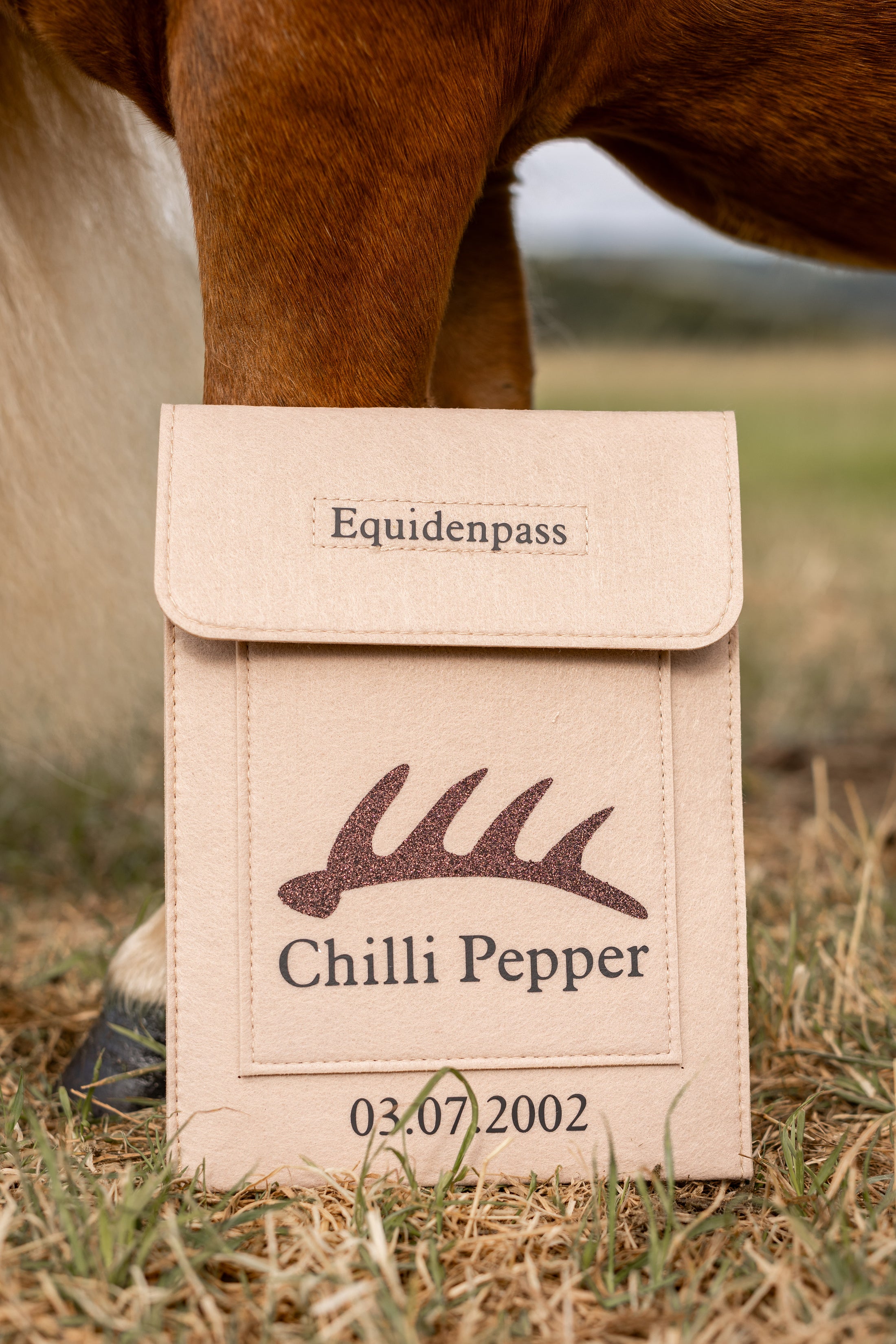 Personalisierbare Equidenpasshülle Brandzeichen
