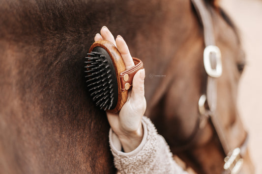 Gummi-Striegel "Florestano"