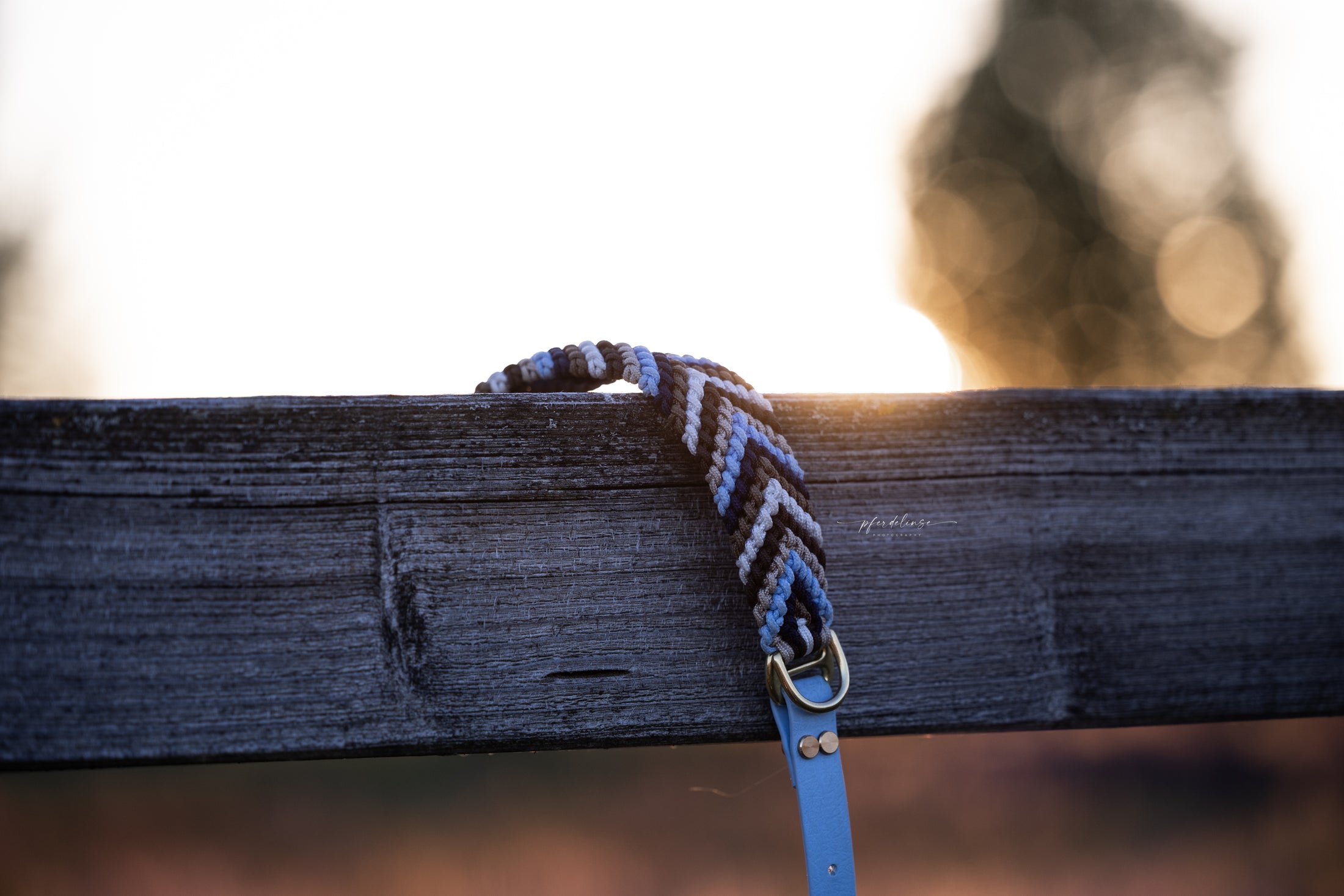 Konfigurierbares Hundehalsband Wild West