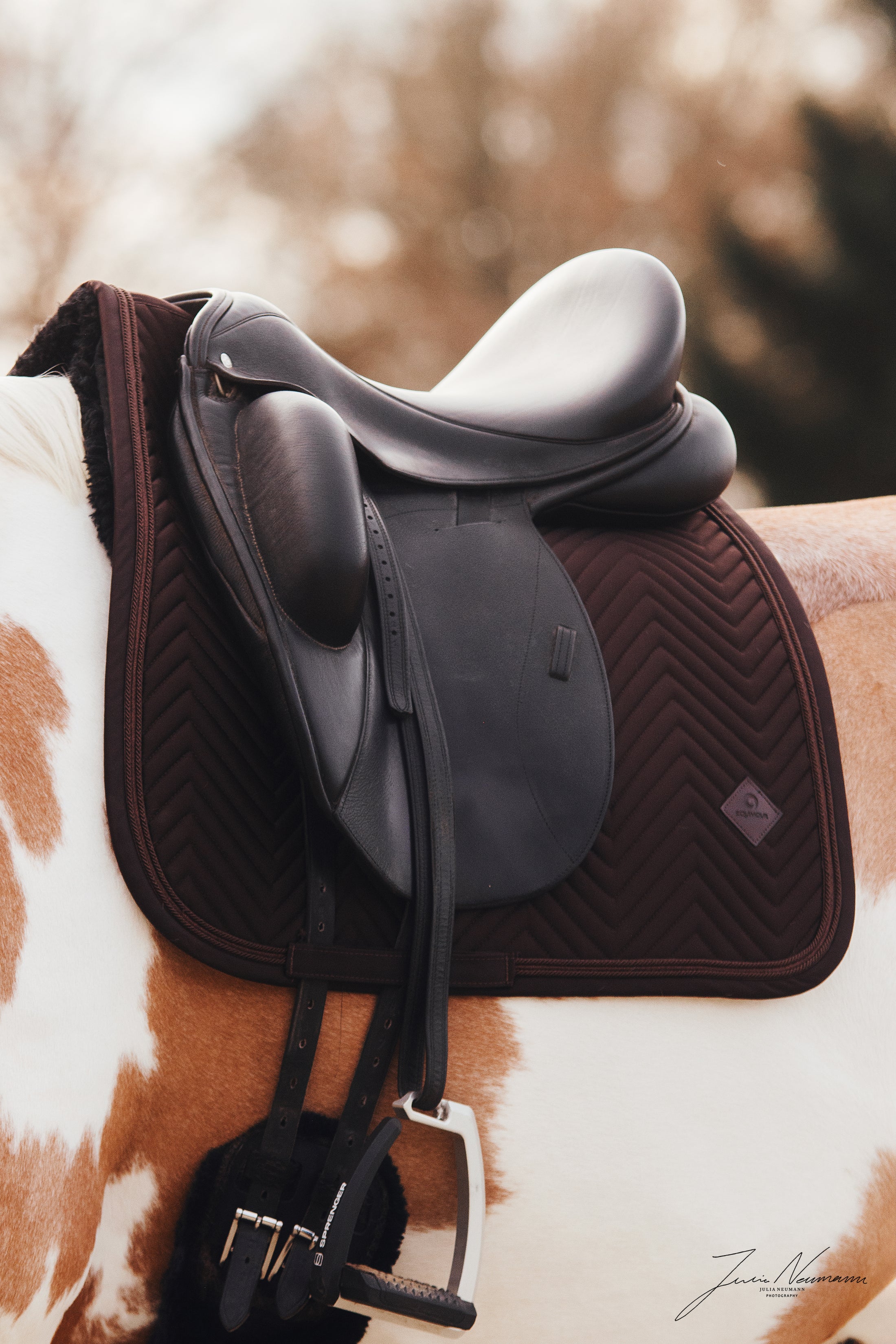 Dressage saddle pad Pure Chocolate