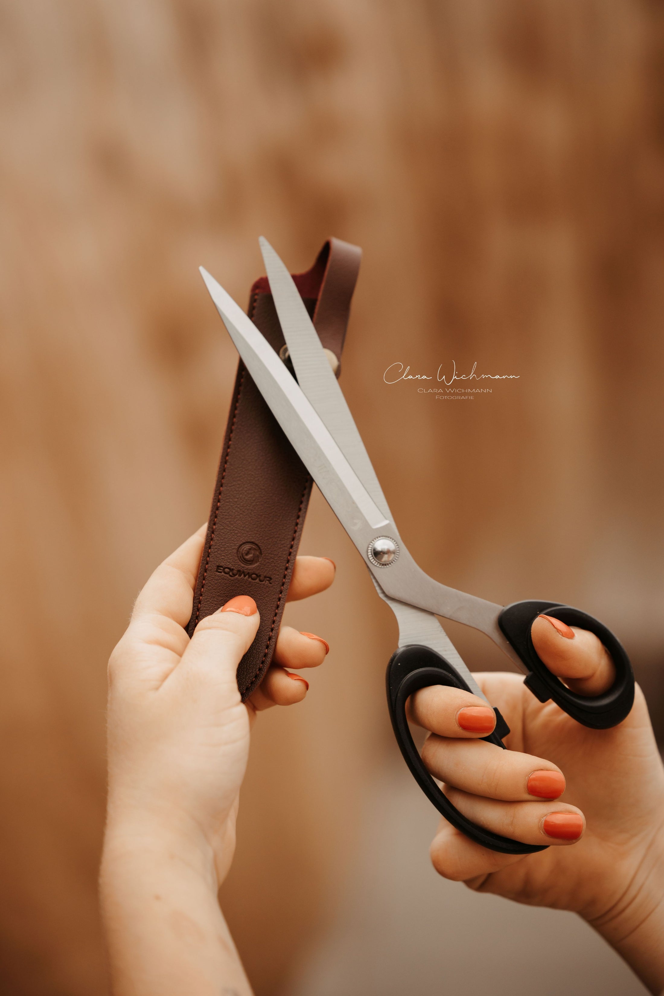 Schweifschere mit Etui "RUDI"