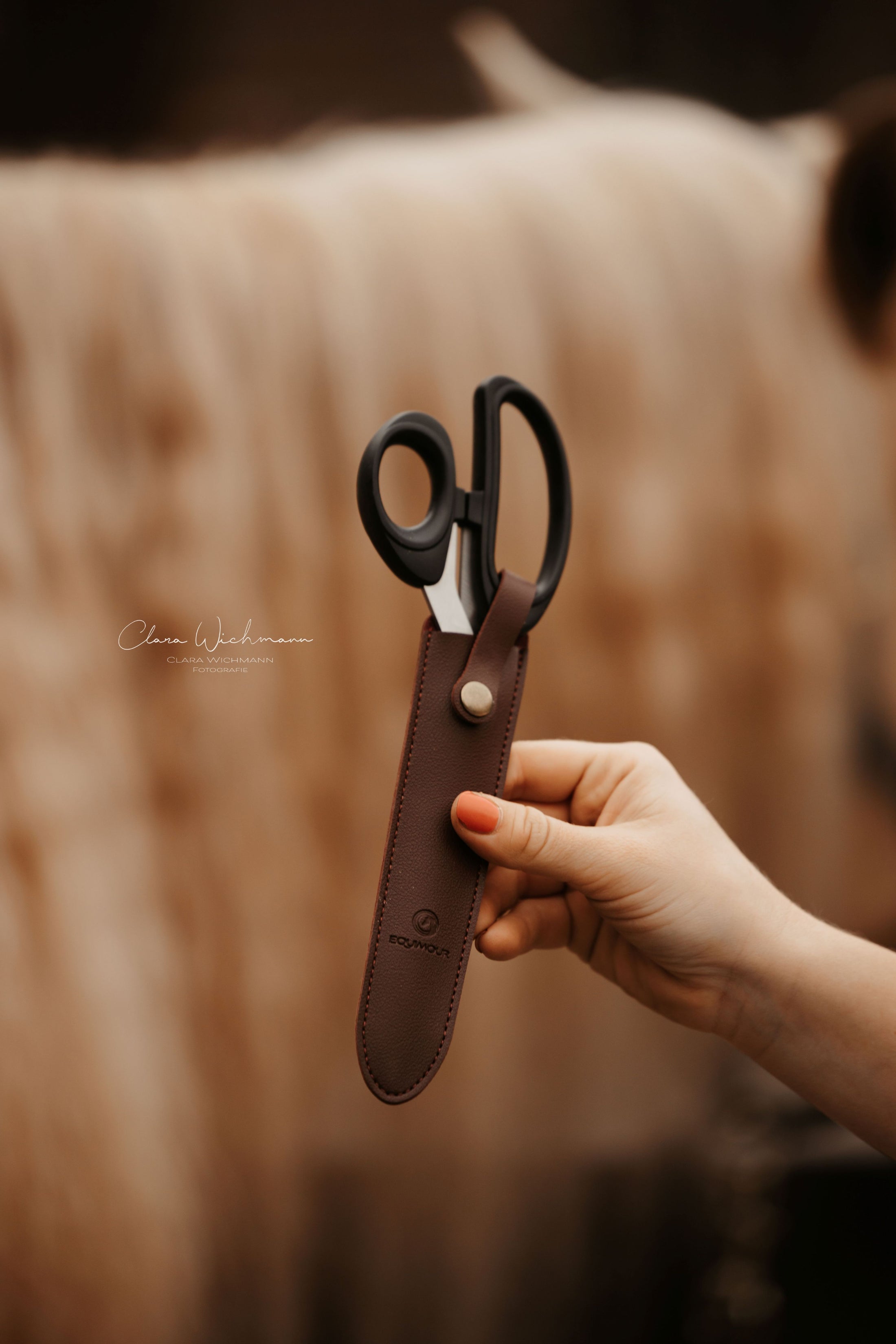 Schweifschere mit Etui "RUDI"