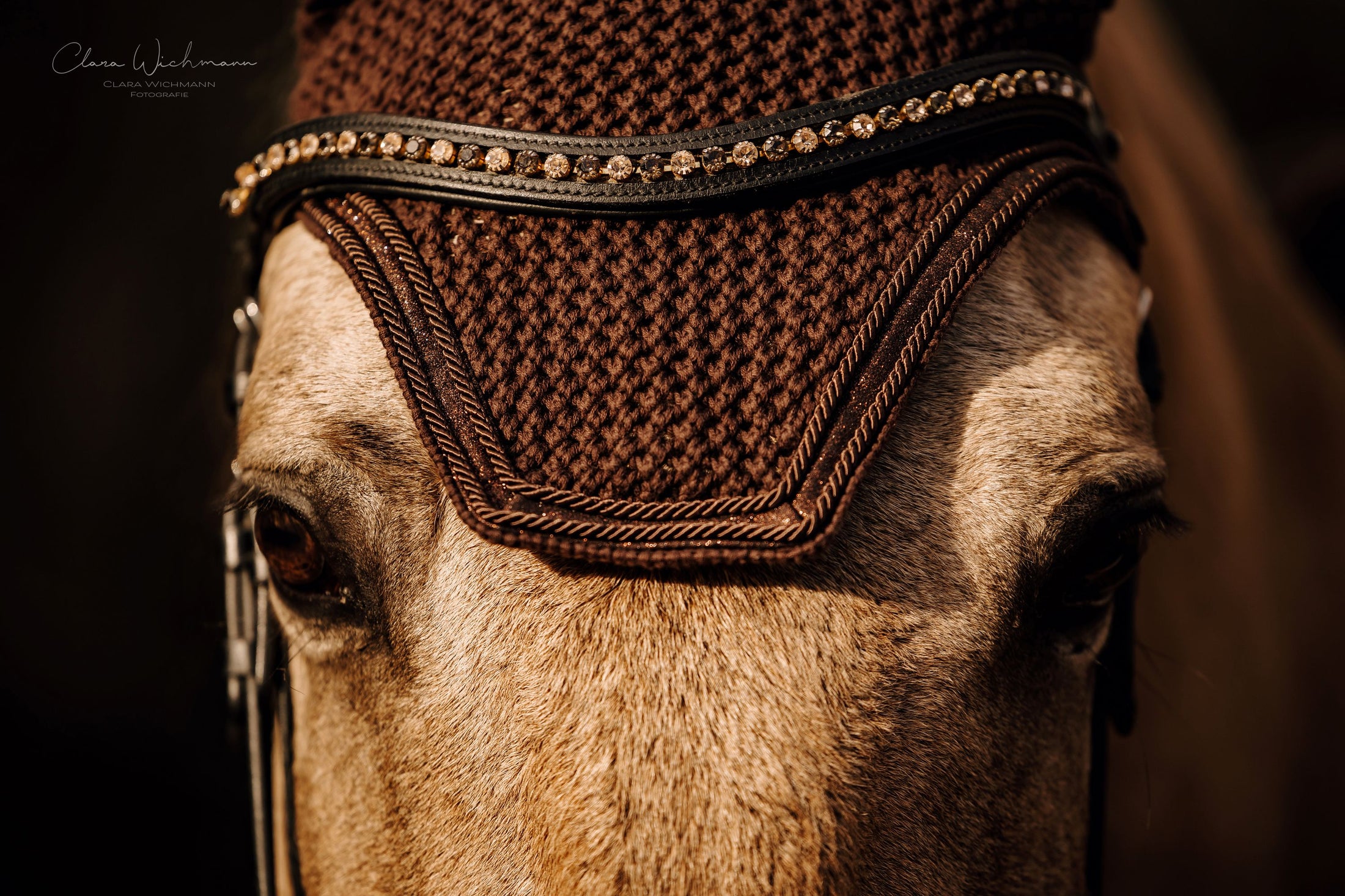 Fly hood Pure Chocolate