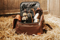Bild in Galerie-Betrachter laden, Premium SET mit Putztasche
