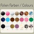 Load image into Gallery viewer, Personalisierbare Equidenpasshülle Buchstabe
