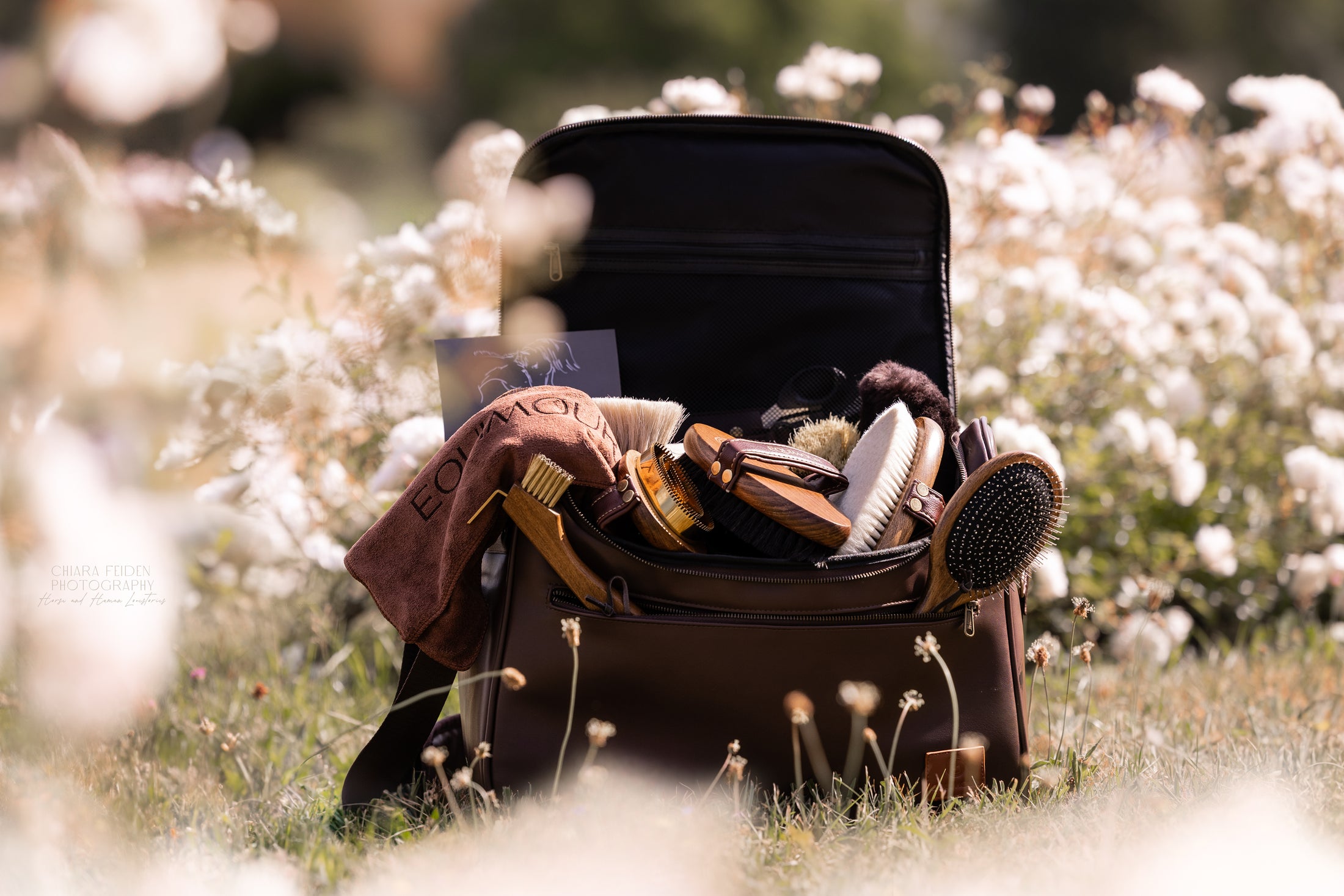 Premium SET mit Putztasche