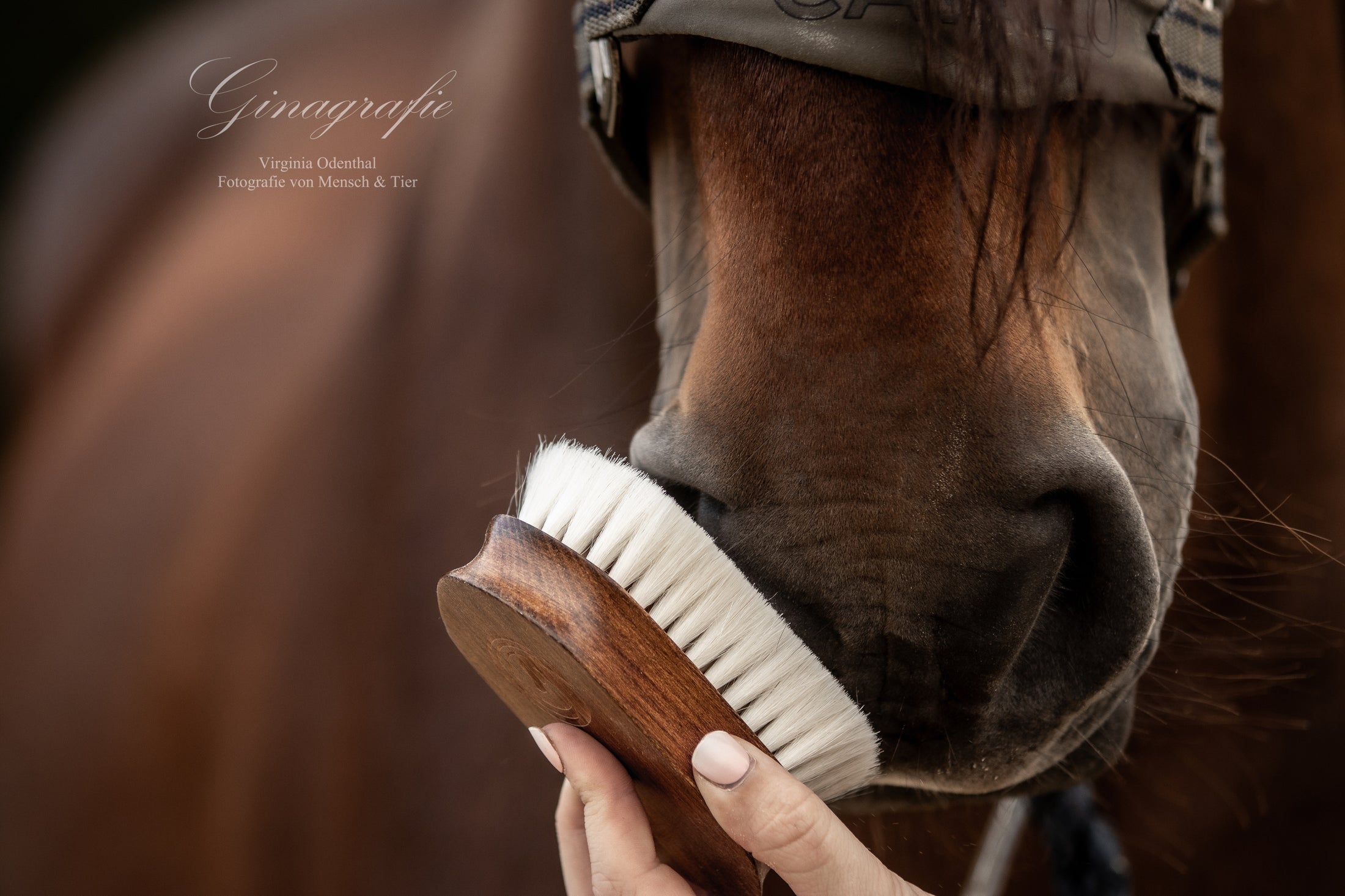 Goat hair head brush "MÄXCHEN"