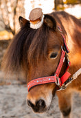 Load image into Gallery viewer, Goat hair head brush "MÄXCHEN"
