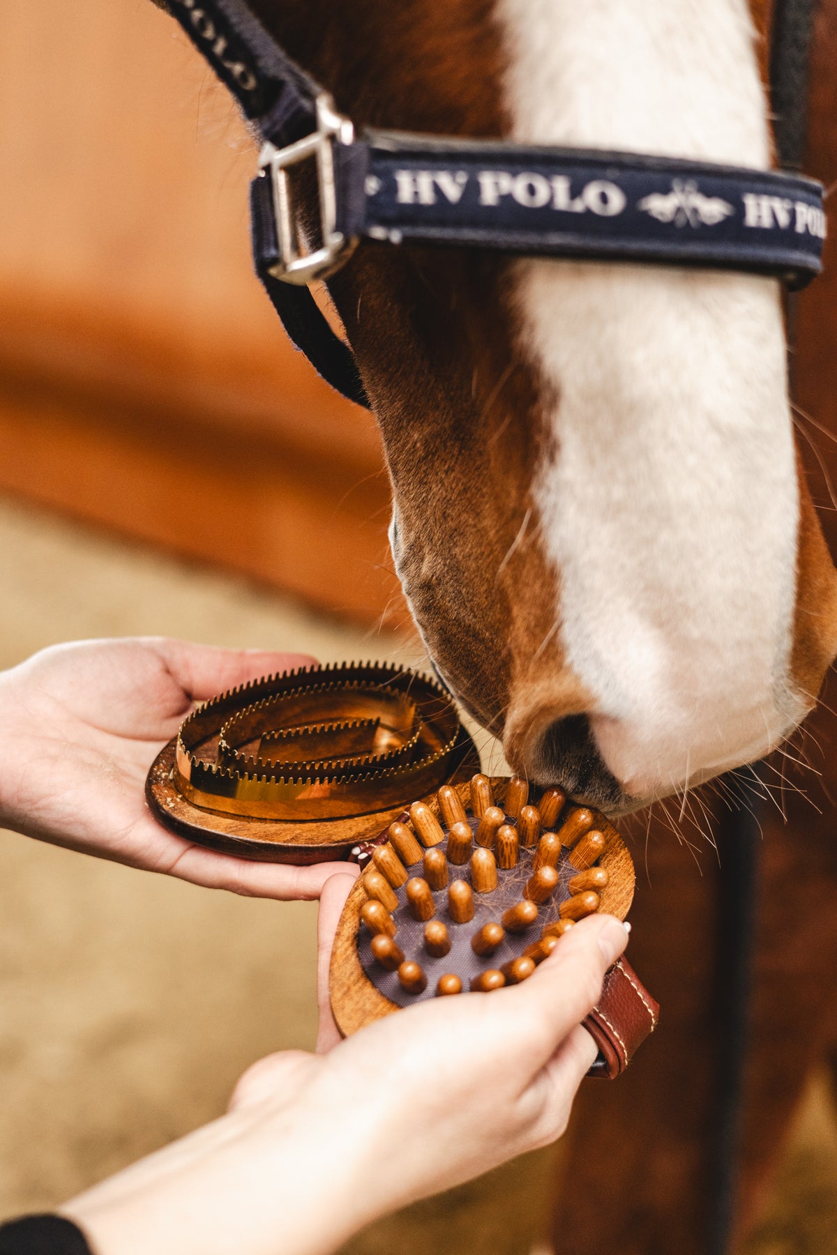Equimour Sortiment