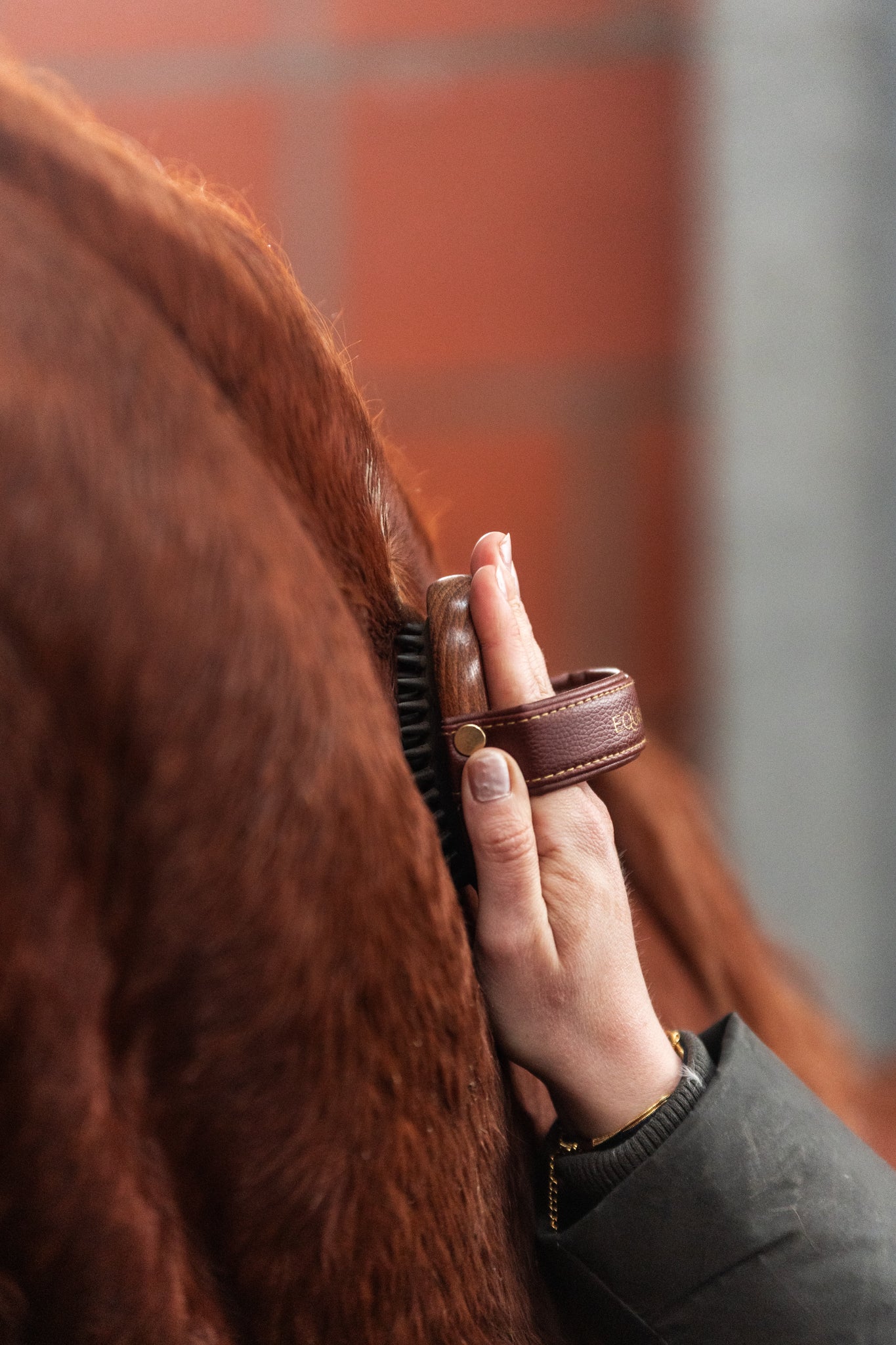 Massage brush "CORNET"