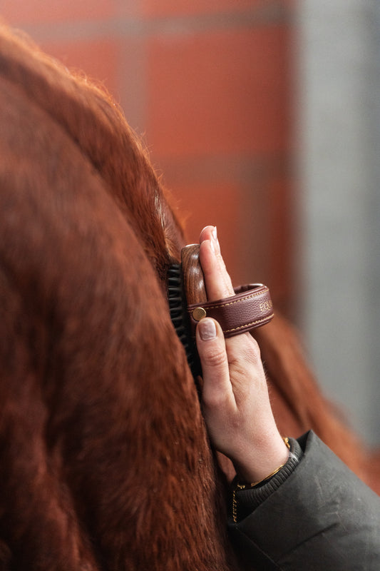 Massage brush "CORNET"