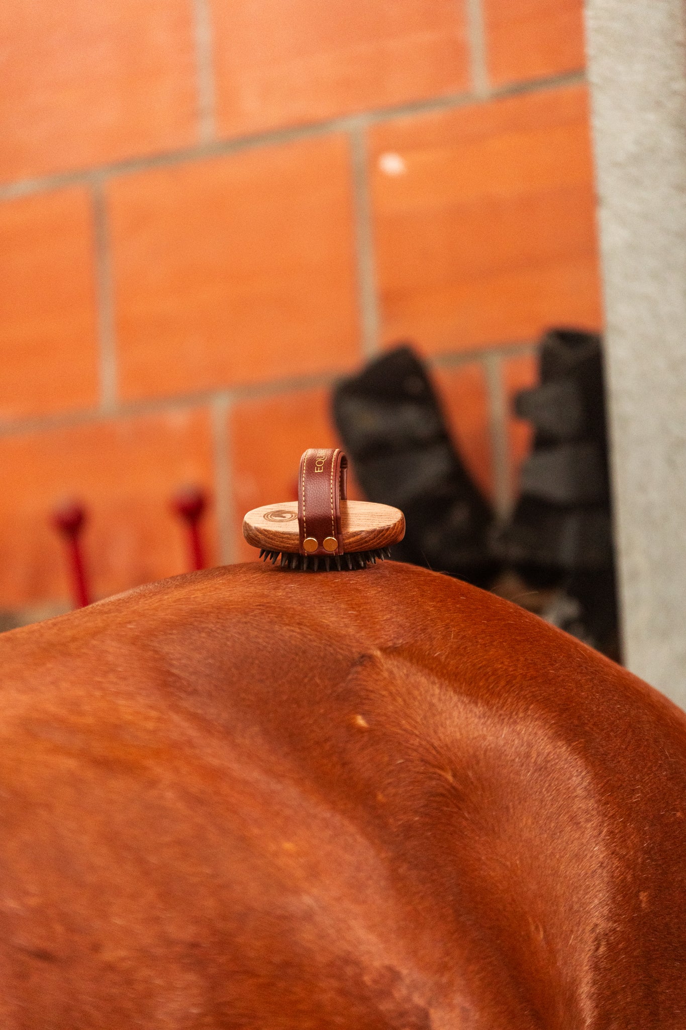 Massage brush "CORNET"