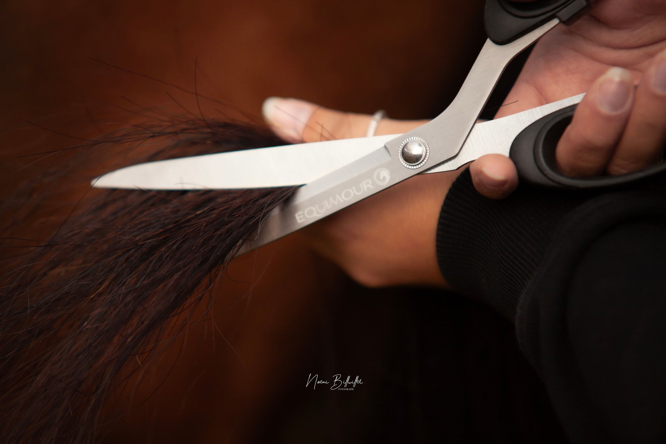 Schweifschere mit Etui "RUDI"