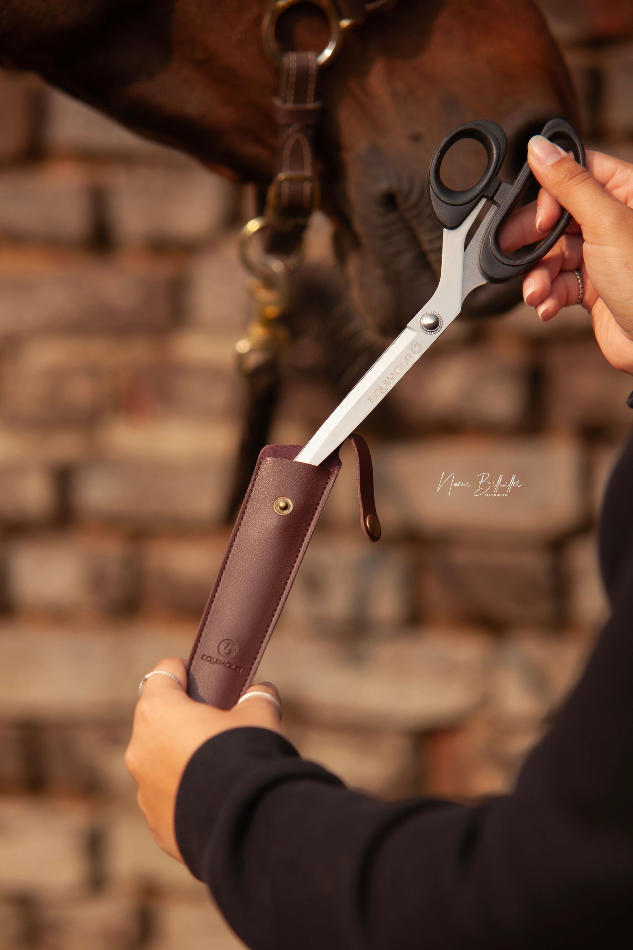 Schweifschere mit Etui "RUDI"