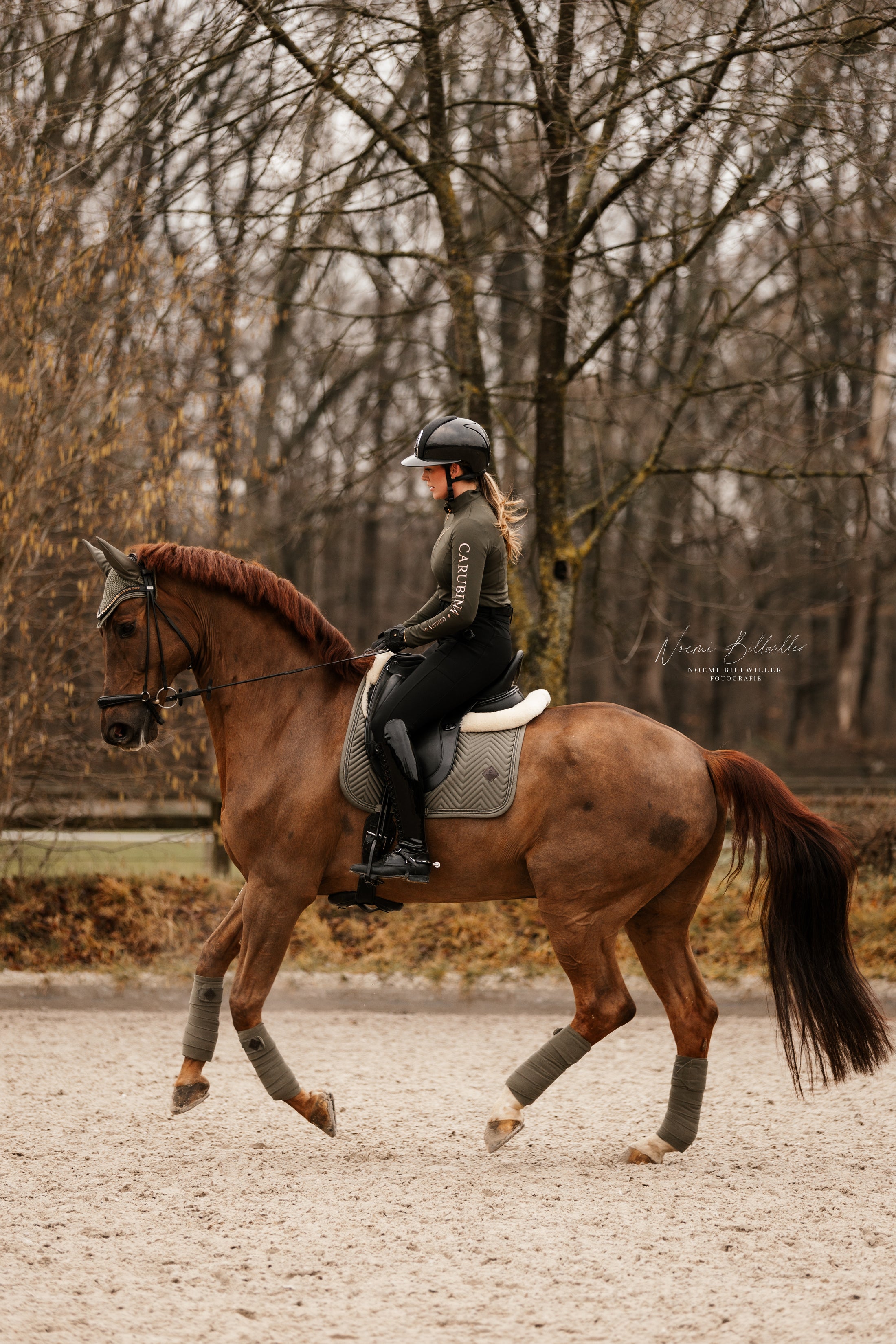 Dressur Set mit Schabracke, Fliegenhaube & Bandagen Classic Sage