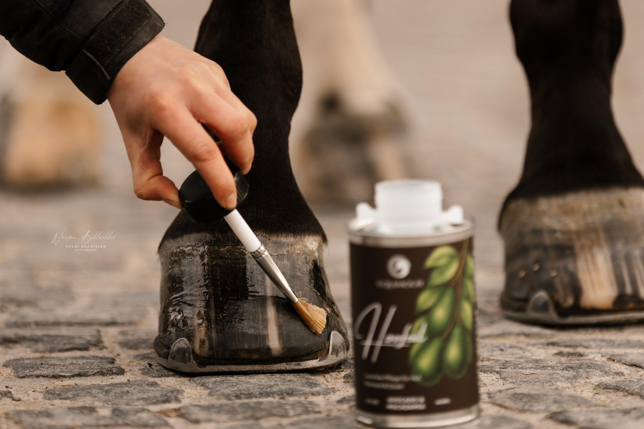 Huföl mit Pinsel Avocado & Macadamia