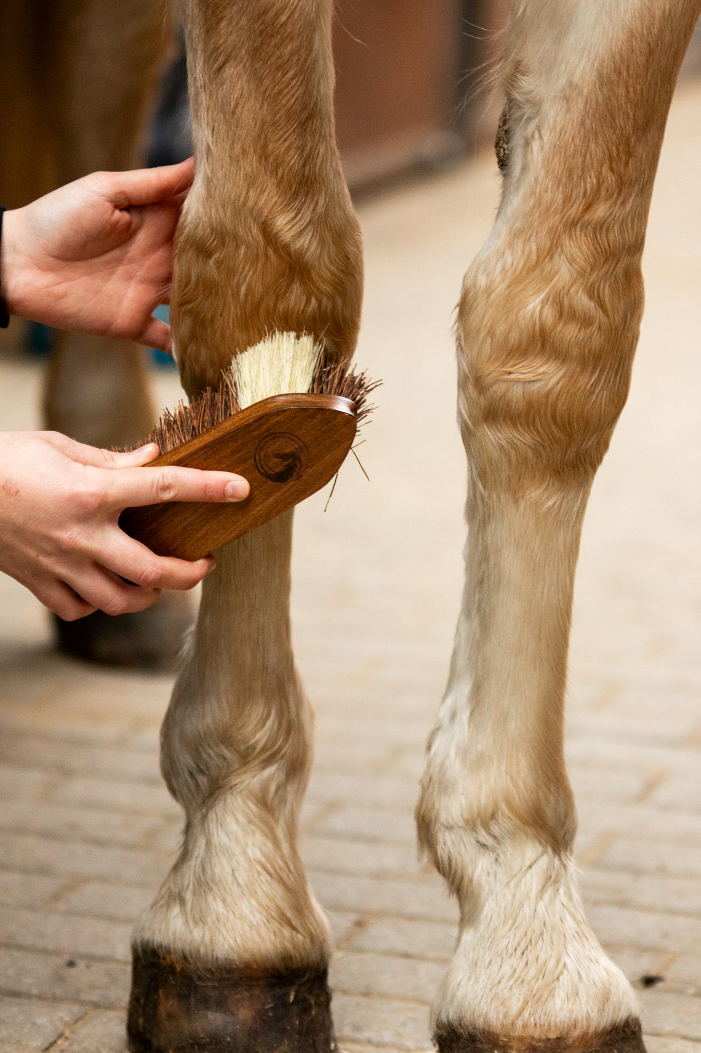 Scrubbing Brush "CARA"