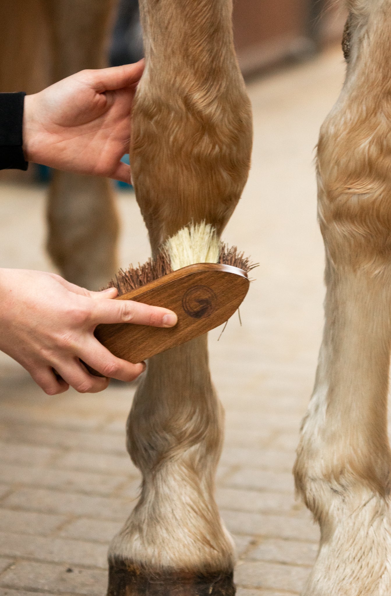 Scrubbing Brush "CARA"